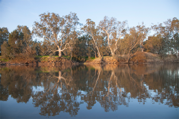 Respect the River