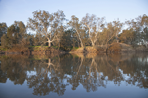 Respect the River