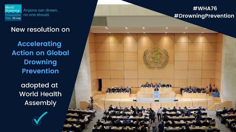 Accelerating Action on Global Drowning Prevention 